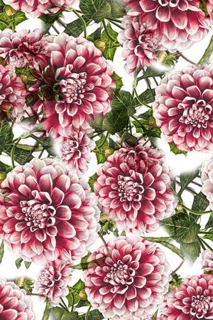 小碎花印花花型图片