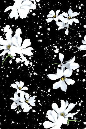 黑白花印花花型图片