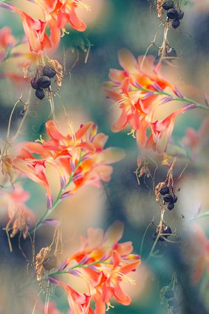 绿叶印花花型图片