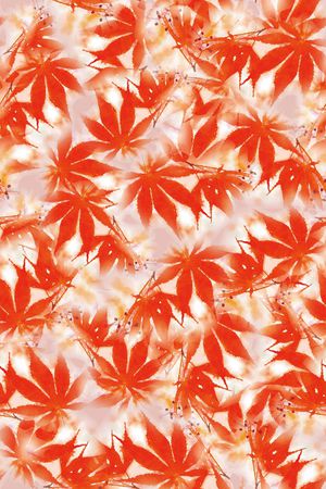 红叶印花花型图片