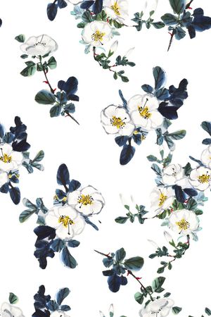 国画花卉、花鸟、水墨画、中国风印花花型图片