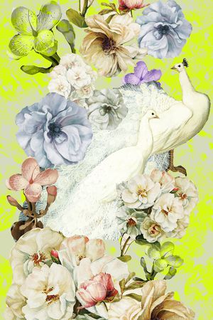 女士印花花型图片