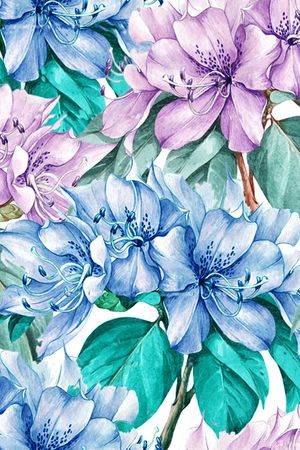 花卉印花花型图片