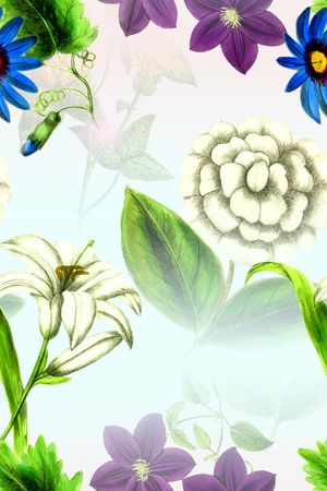 菊花印花花型图片