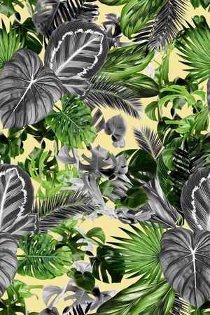 Tropical印花花型图片