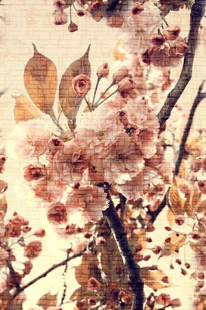 清新风印花花型图片