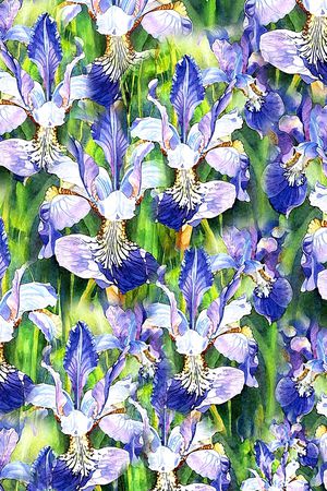 油画印花花型图片