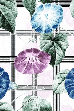 牵牛花印花花型图片