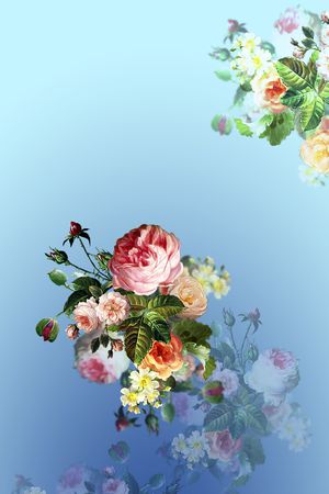 女装印花花型图片