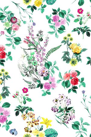 女装印花花型图片