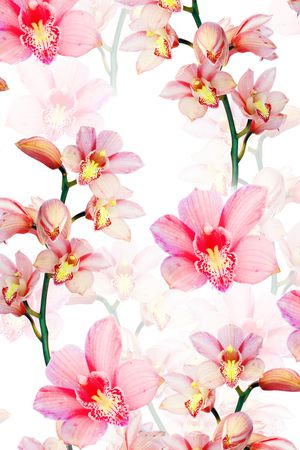 绿叶印花花型图片