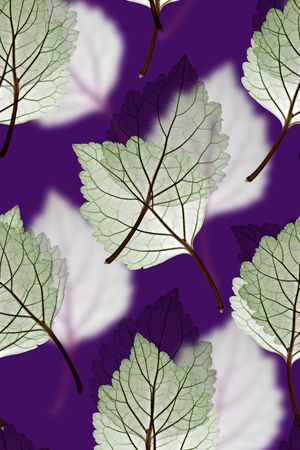 抽象手绘水彩画植物纹理花卉数码印花印花花型图片