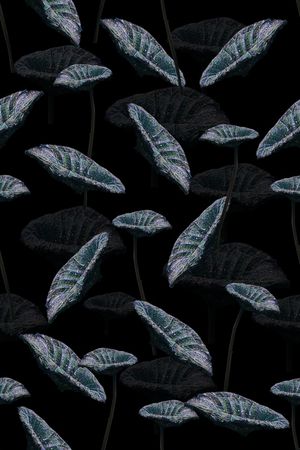 花卉印花花型图片