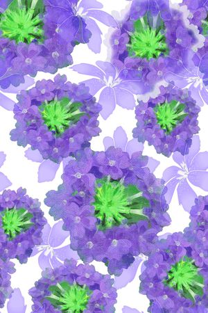 花朵印花花型图片