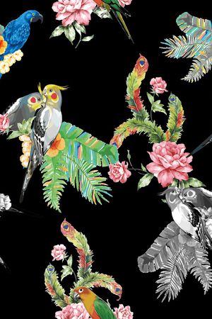 鹦鹉印花花型图片
