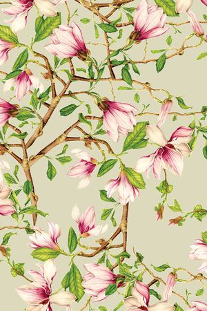 花朵印花花型图片