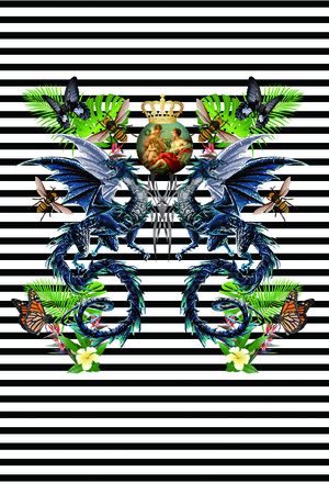 条纹印花花型图片
