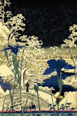 线描印花花型图片