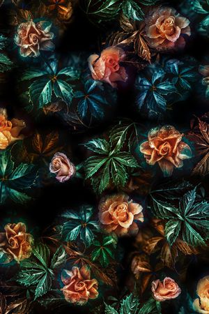 花卉印花花型图片