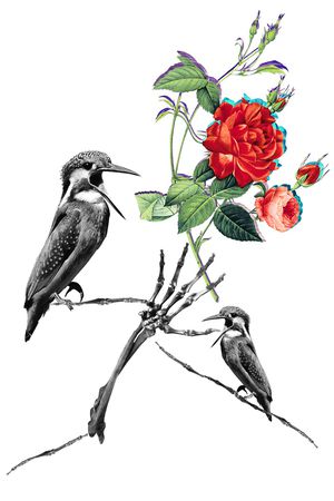 花鸟印花花型图片