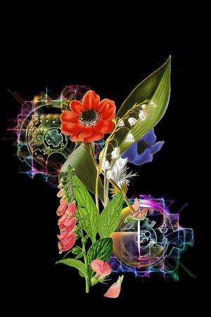 花卉印花花型图片