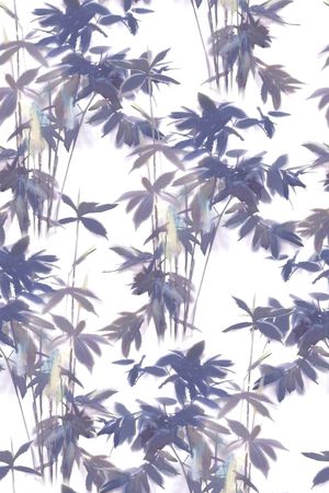 中国风印花花型图片