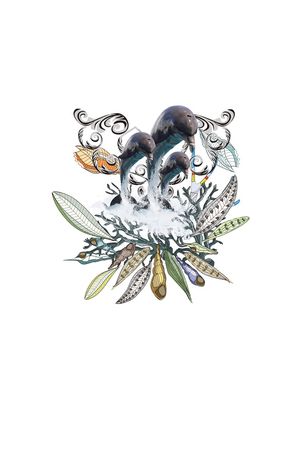 创意印花花型图片