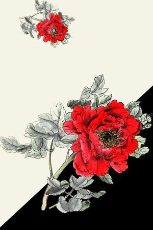 牡丹印花花型图片
