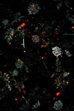 星空印花花型图片