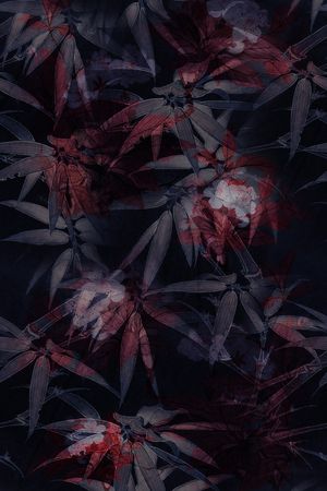 抽象印花花型图片