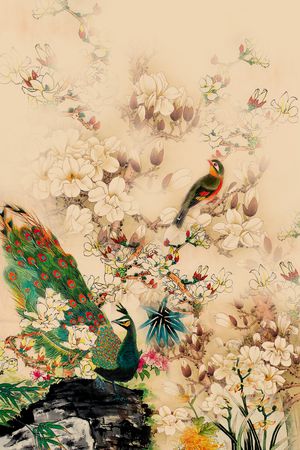 孔雀印花花型图片