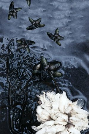 花卉印花花型图片