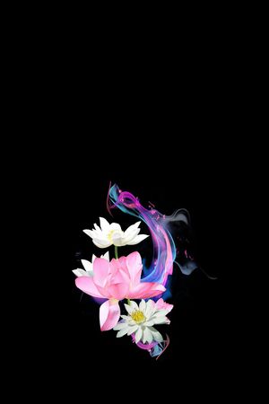 大花印花花型图片