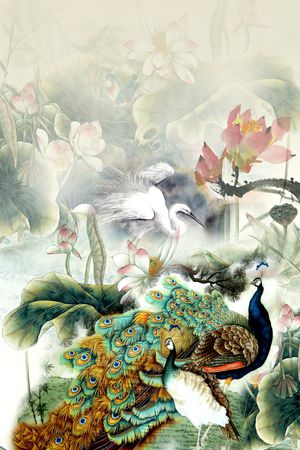 孔雀印花花型图片