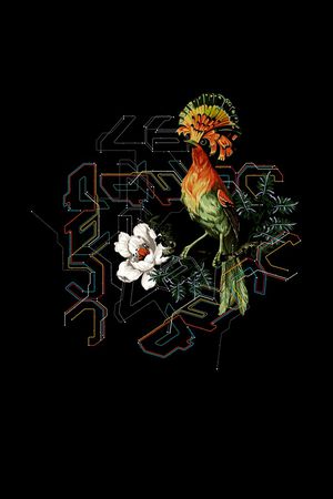鸟印花花型图片