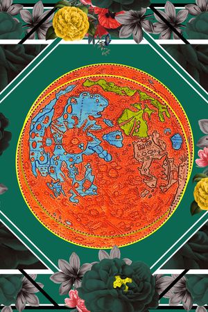 地中海印花花型图片