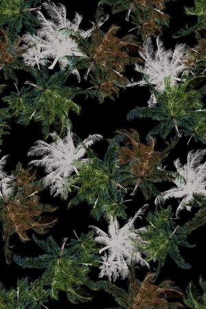 数码花型印花花型图片