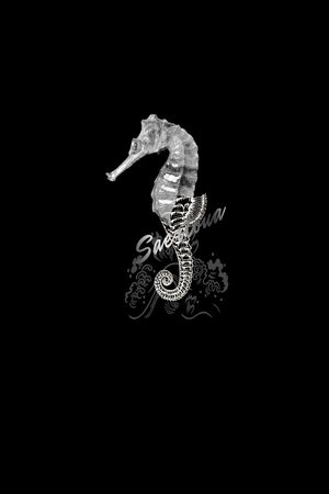 创意印花花型图片