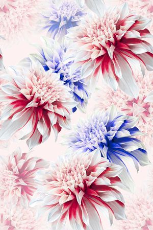 少女印花花型图片