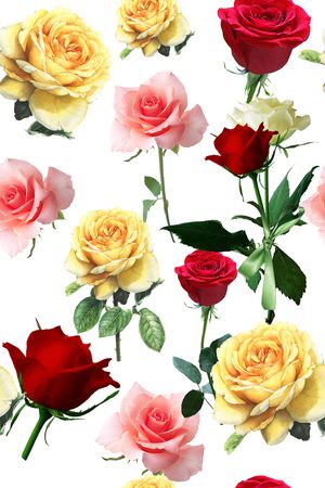 女装印花花型图片