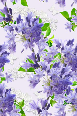 女装印花花型图片