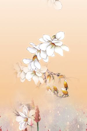 雪纺印花花型图片