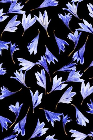 小碎花印花花型图片
