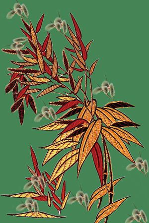衬衫印花花型图片