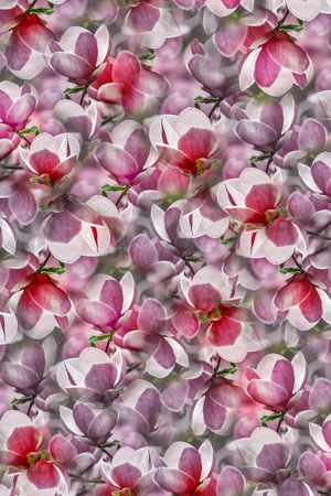 3D立体印花花型图片
