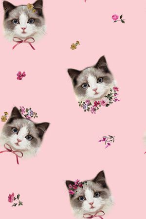 猫印花花型图片