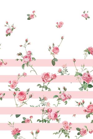 条纹印花花型图片
