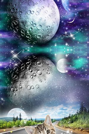 星空印花花型图片