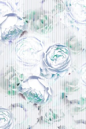 条纹印花花型图片