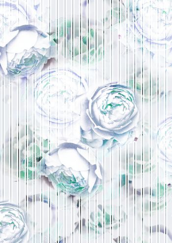 条纹印花花型图片